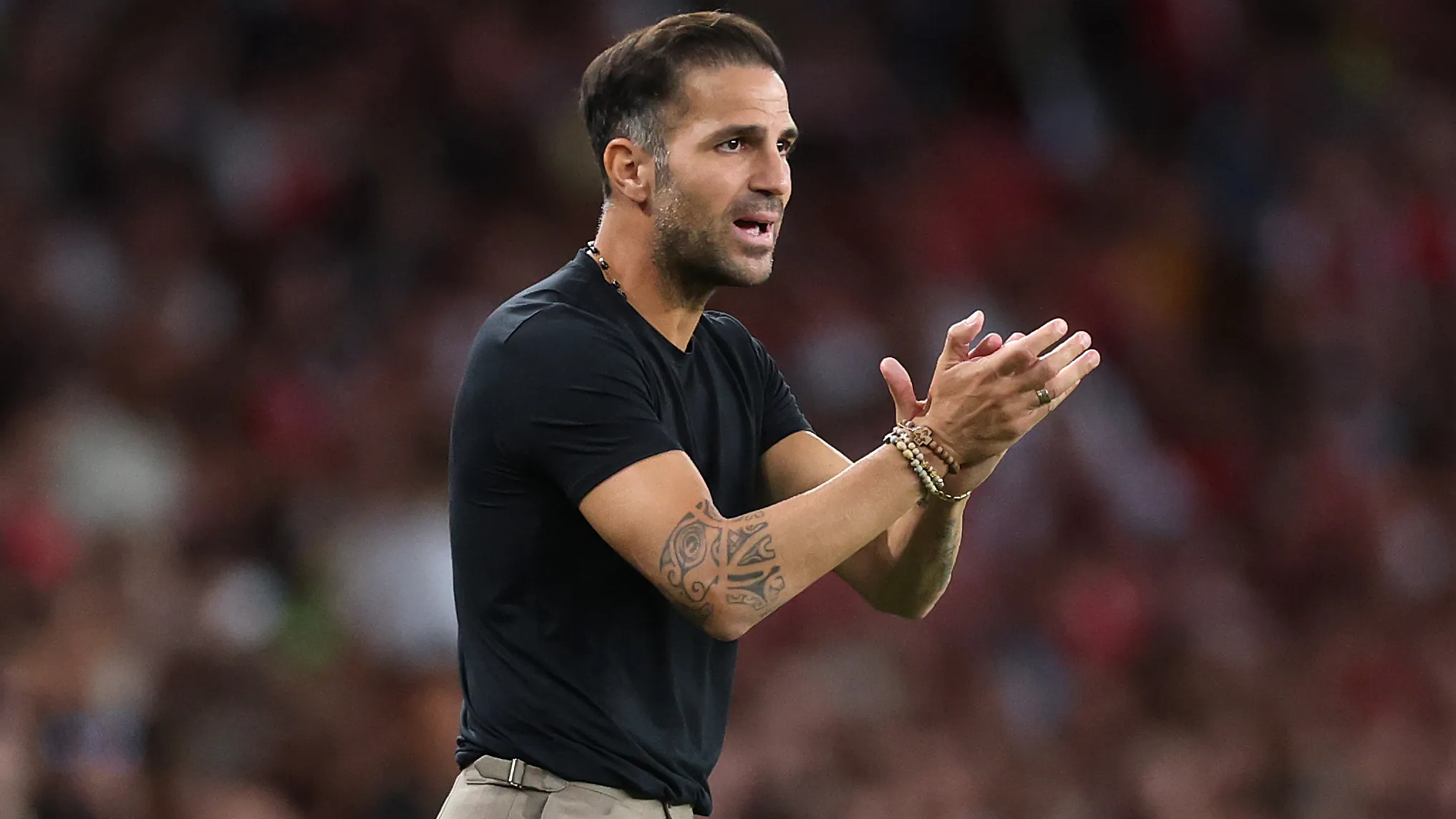 'Yeni bir dünya' - Cesc Fabregas, Como'nun tarihi Şampiyonlar Ligi debutuna hazır