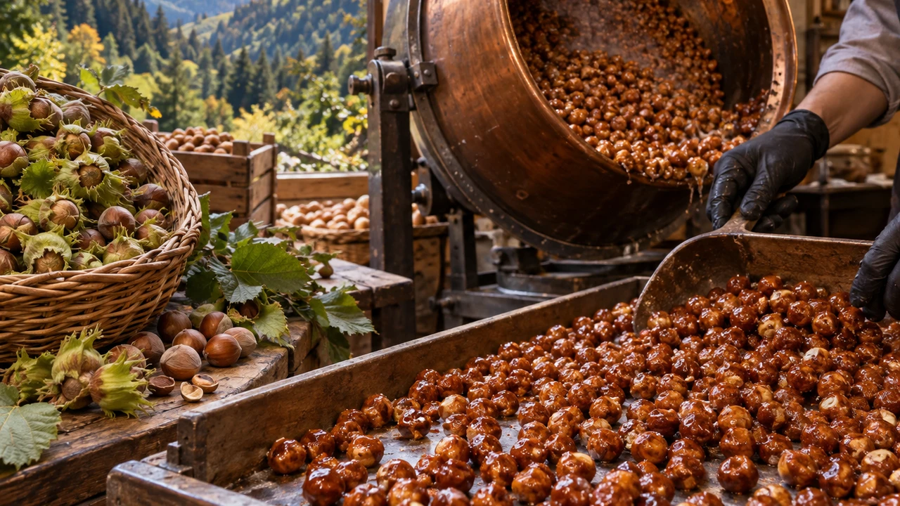 Bolu’nun Asırlık Dağ Fındığı Tehlike Altında